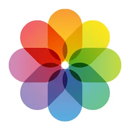 Photo Transfer